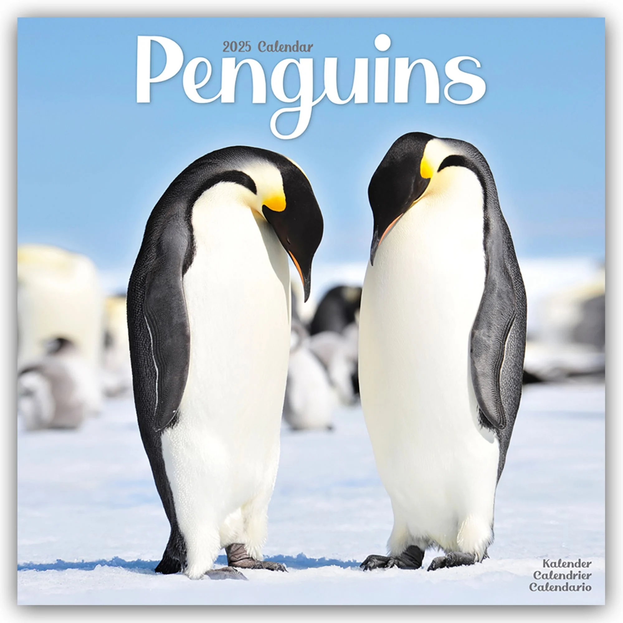 Calendar 2025 Penguins - Penguin