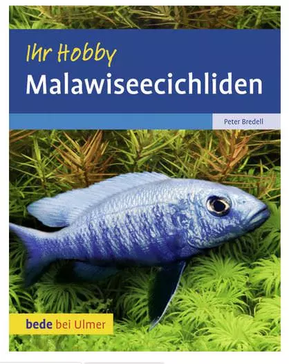 Malawiseecichliden Ihr Hobby