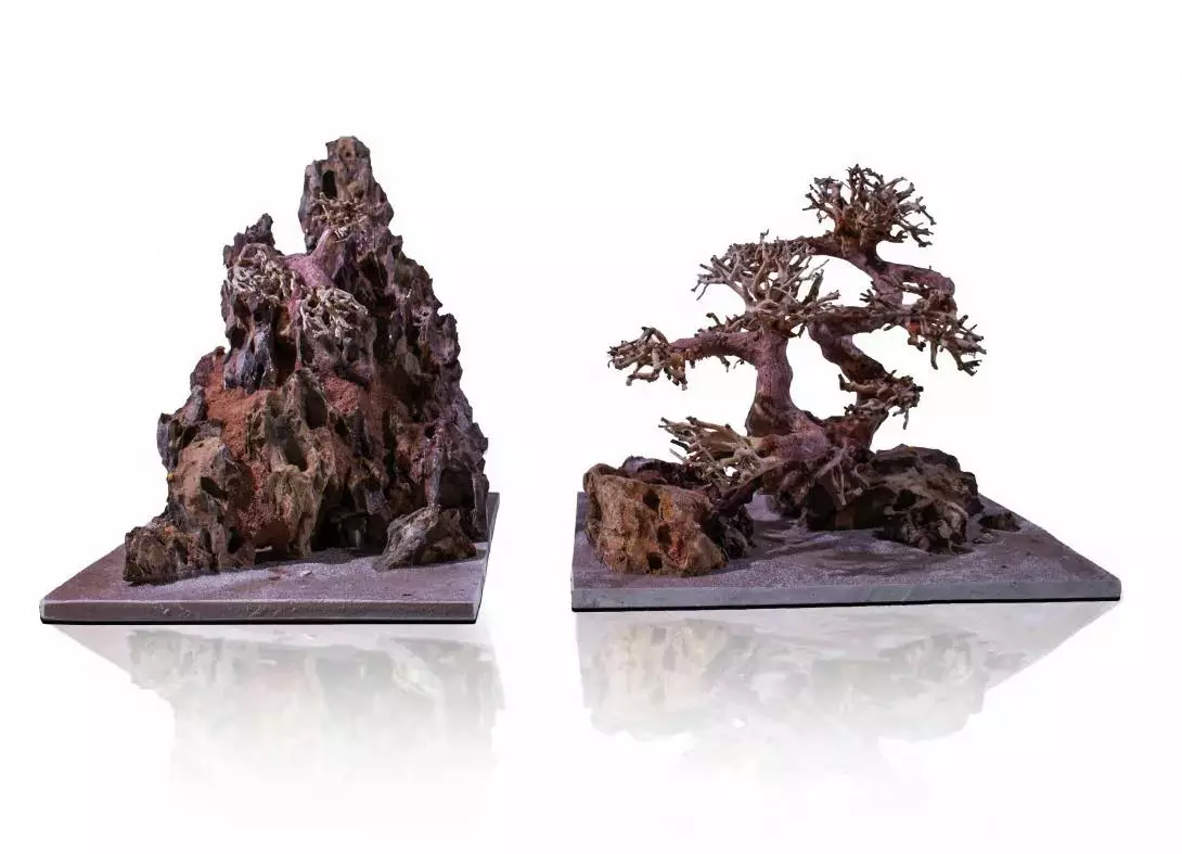 Aquascape Landscape Bonsai