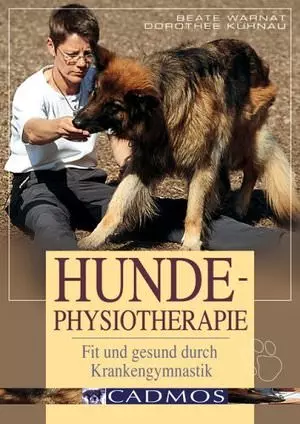 Hunde Physiotherapie