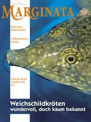 Marginata Nr. 33 - Weichschildkröten - Wundervoll, doch kaum bekannt