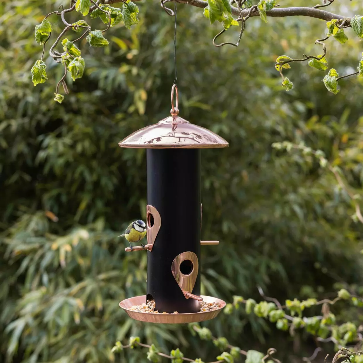 Vogelfuttersilo für Sämereien