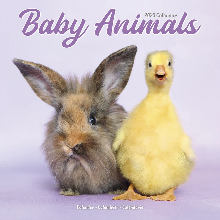 Calendrier 2025 Tierkinder - Baby Animals