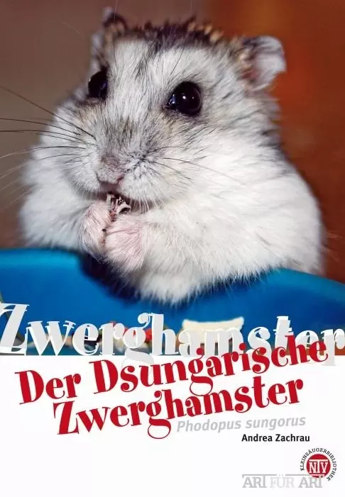 Dsungarische Zwerghamster