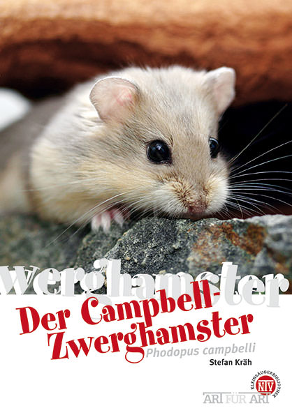 NTV - Der Campbell-Zweghamster