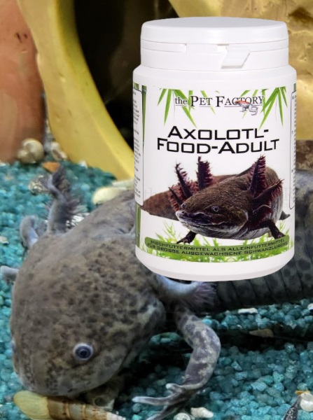 Axolotl Futter Adult 