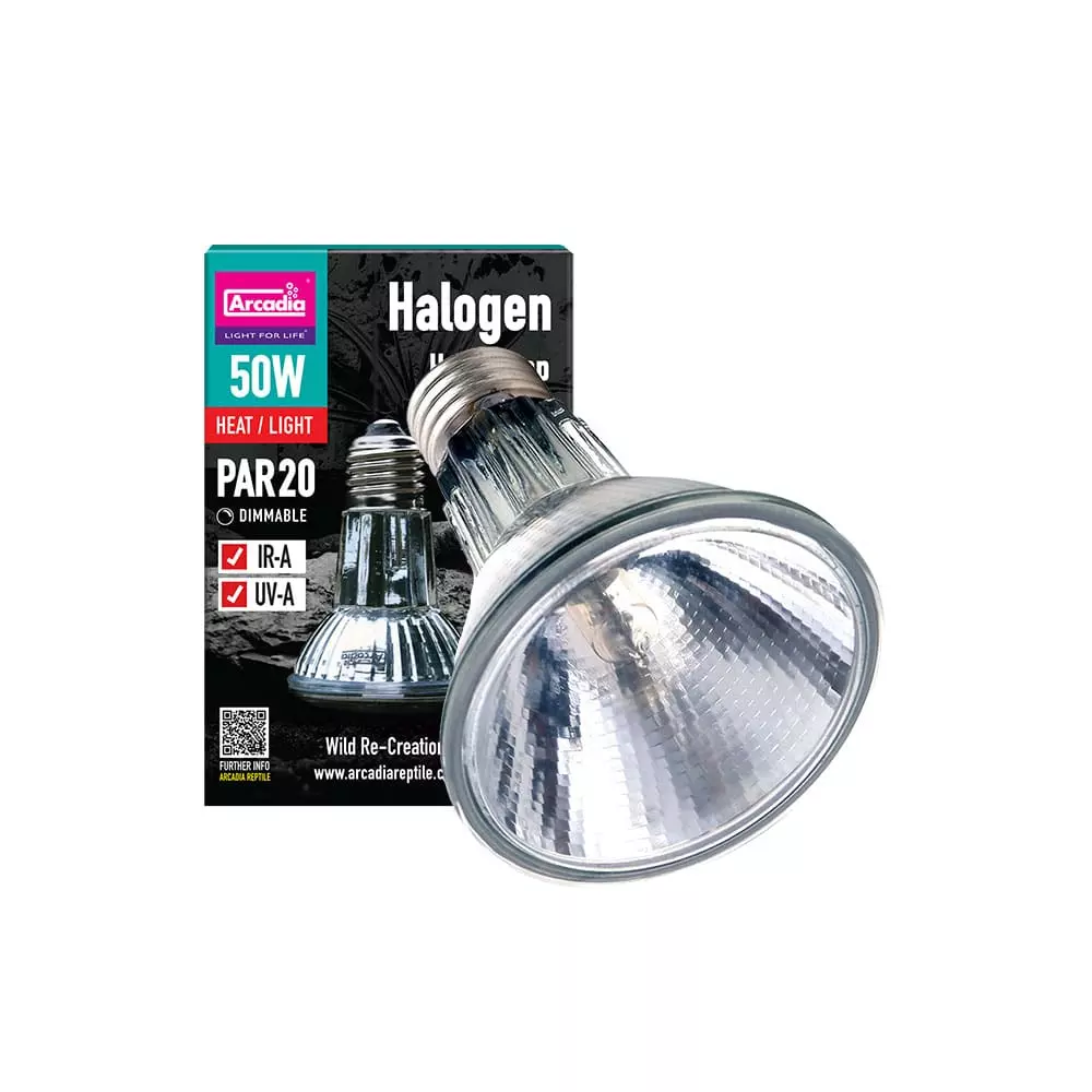 Arcadia Halogen Lamp