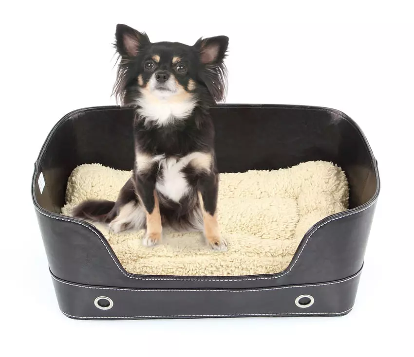 AKTION Swisspet Hunde- & Katzenbett Lounge