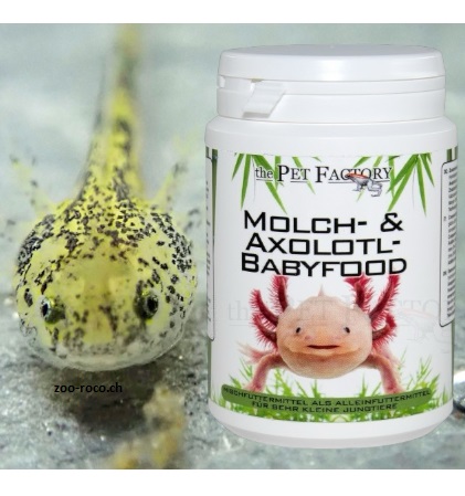 Axolotl Baby Futter