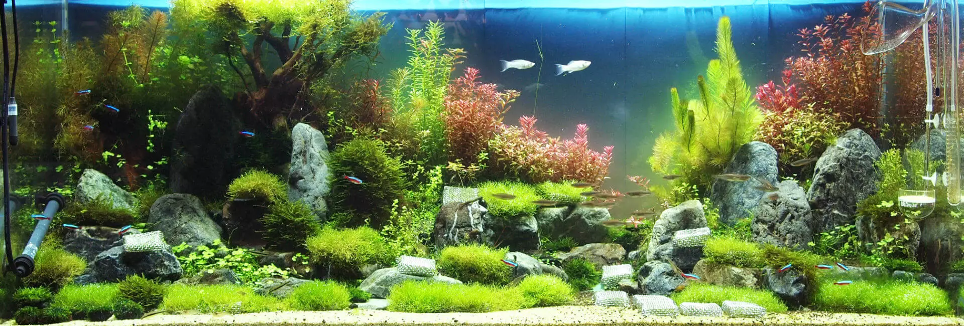 Aquarium Technik