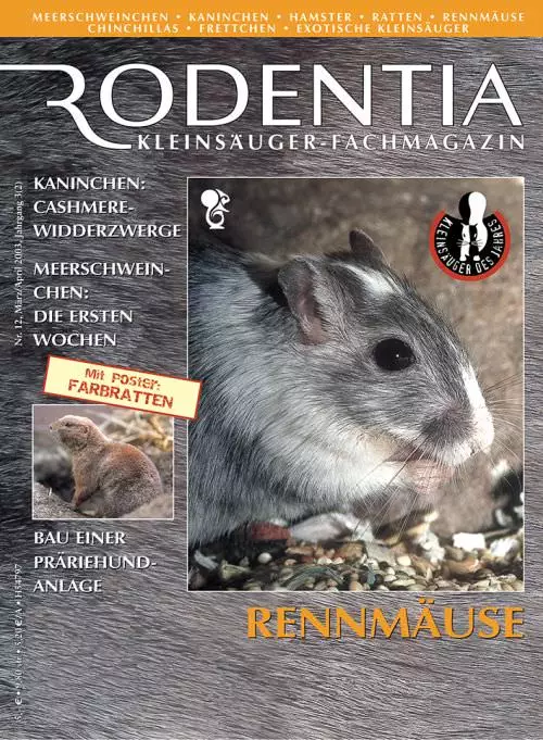 Rodentia 12 - Rennmäuse