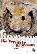 Die persische Rennmaus