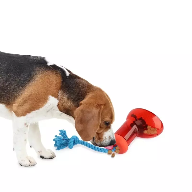 Doggies Shoes Dispenser Snackspender