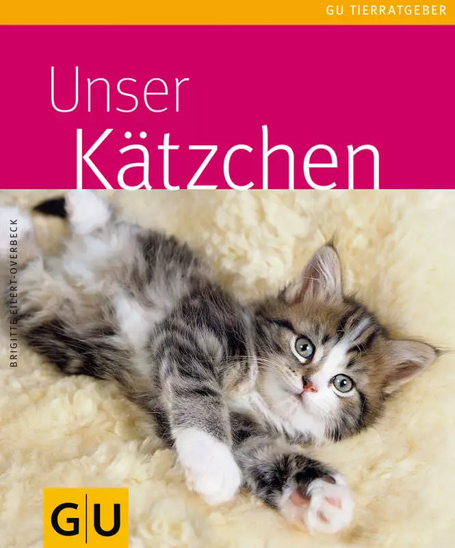 Unser Kätzchen