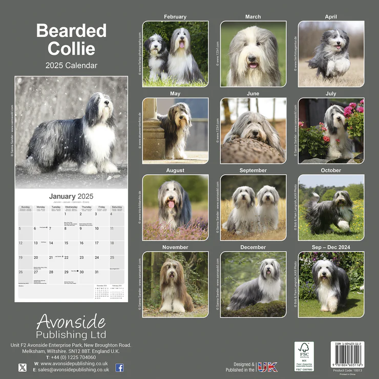 Calendrier 2025 Bearded Colley - Beardie