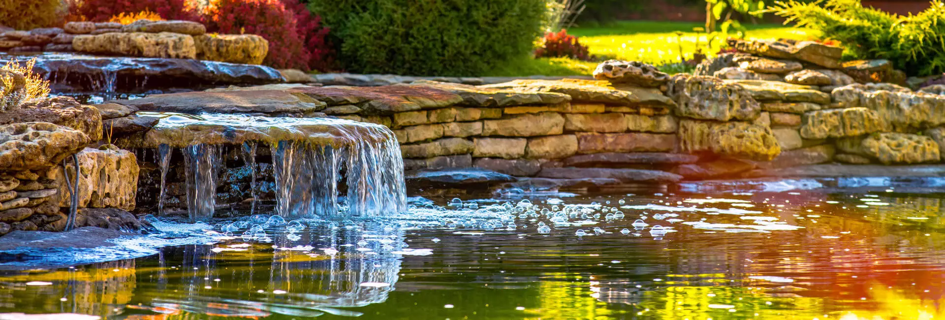 Gartenteich Neuheiten