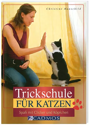 Trickschule für Katzen