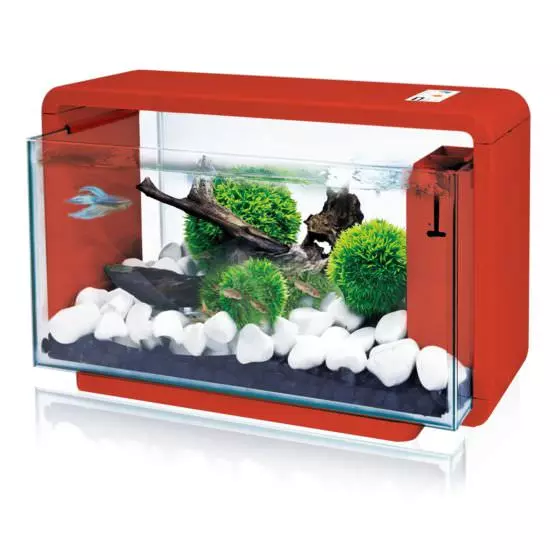 Amazonas LED Nano Aquarium 25 Liter