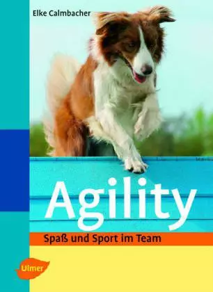 agility ULMER