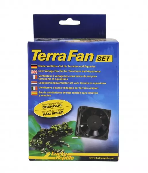 Terra Fan Set