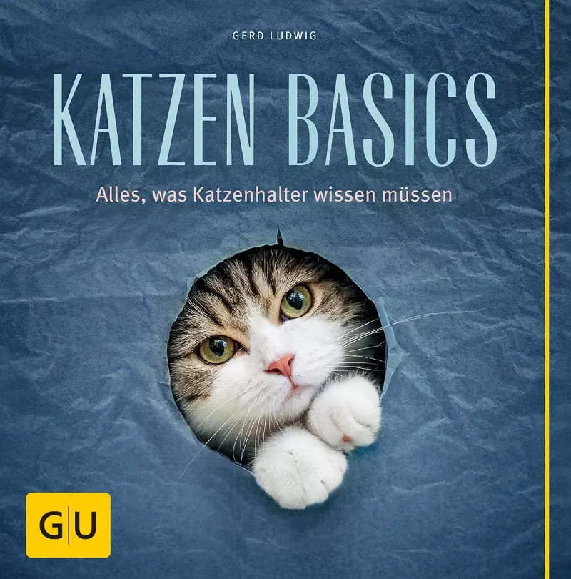 Katzen Basics