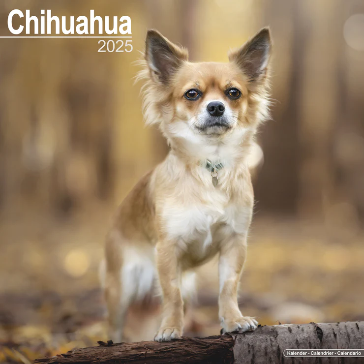 Calendar 2025 Chihuahua - Chi