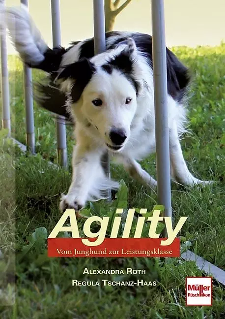 Agility von A. Roth und R. Tschanz-Haas