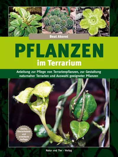 NTV Pflanzen im Terrarium