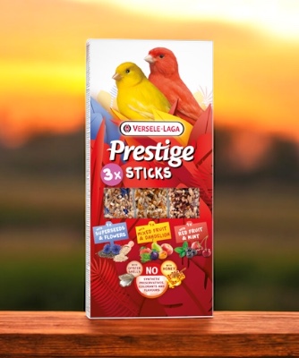 Prestige Sticks - 3 Sticks - Kanarien