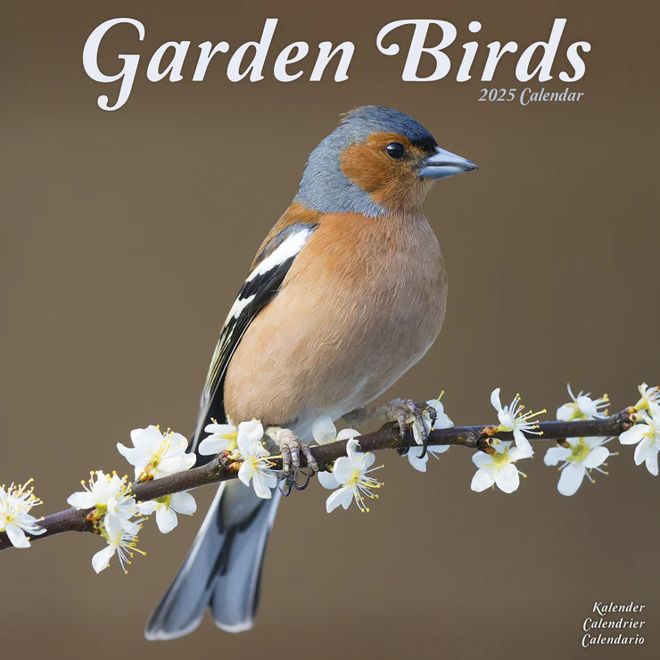 Calendrier 2025 - Oiseaux de jardin