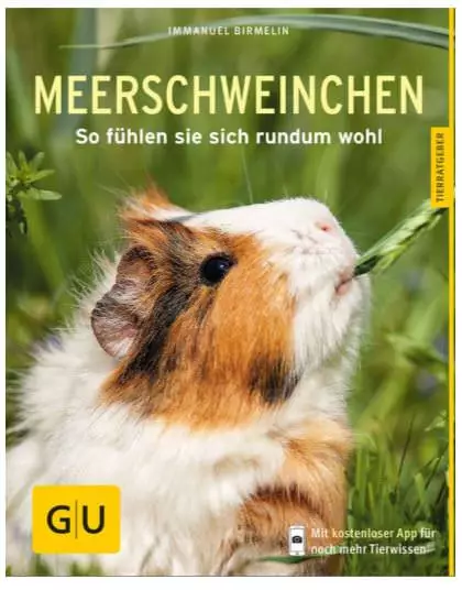 GU Meerschweinchen