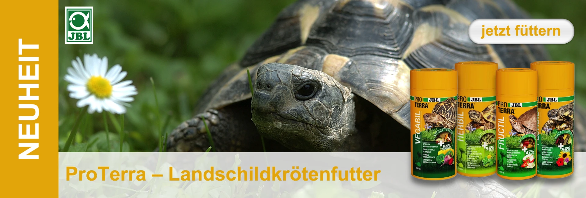 promo-proterra-landschildkroeten-de