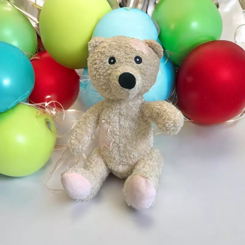 Welttierschutztag-Teddy - Spendenaufruf