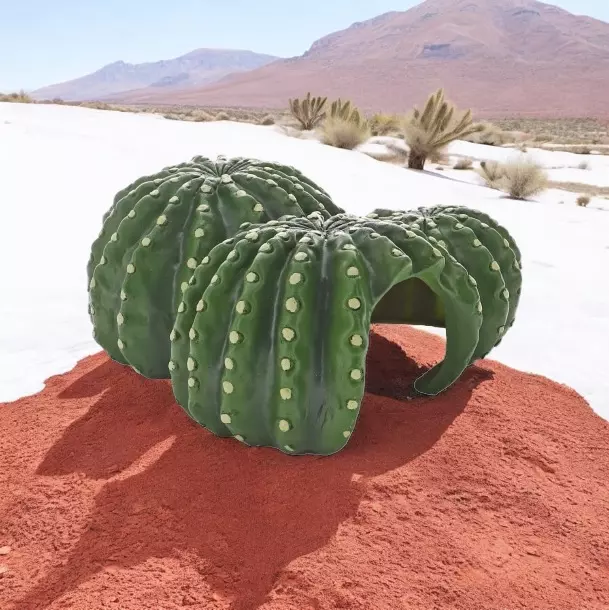 Cactus Home