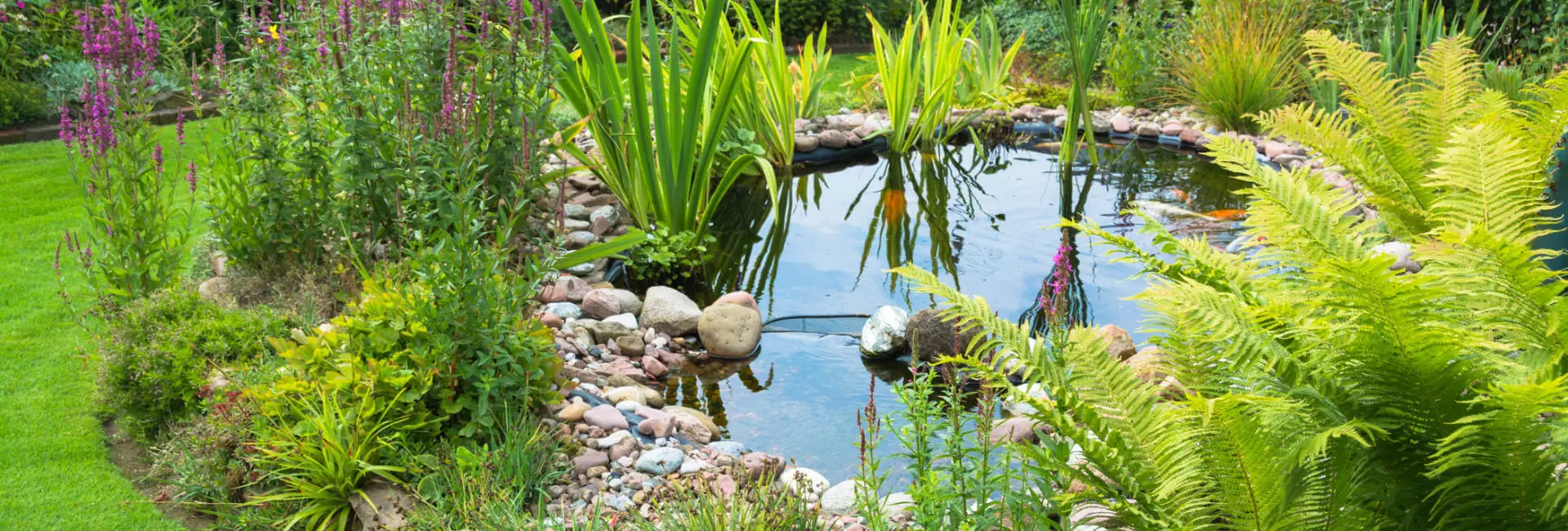 Gartenteich Wasserpflege