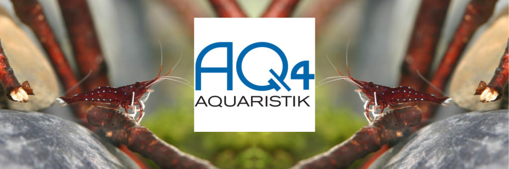 AQ4 Aquaristik