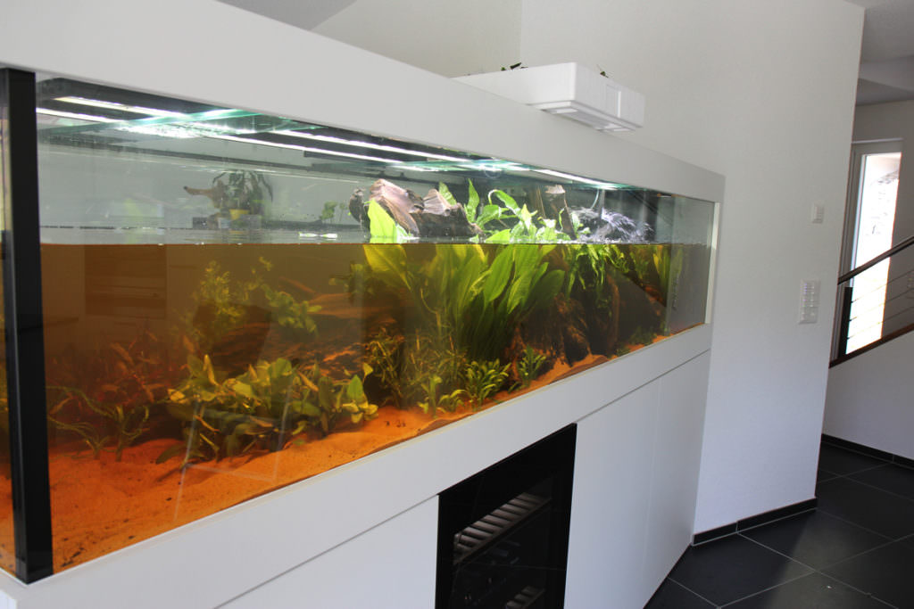 Aquarium einrichten