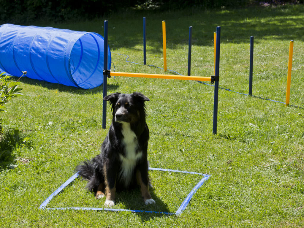 Agility Platzierung