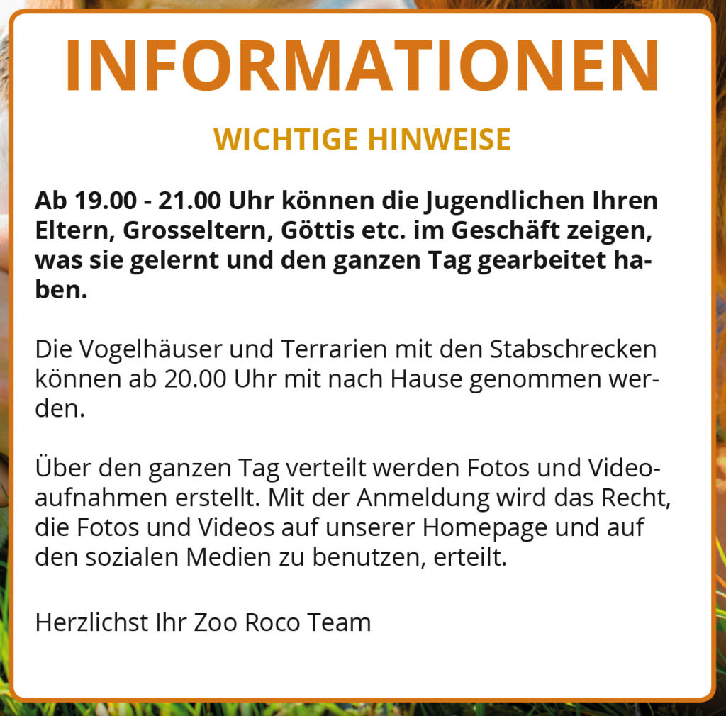 Flyer Zukunftstag 2016