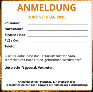 Anmeldung Zukunftstag 2016