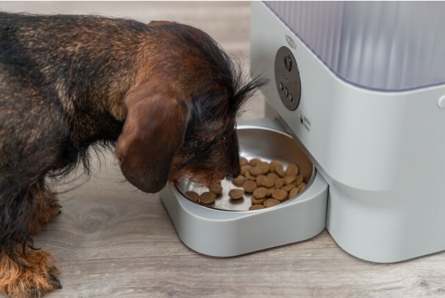 Futterautomat Hund
