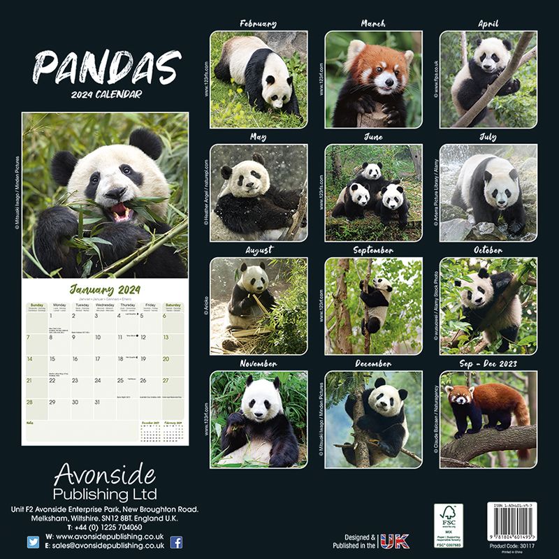 Kalender 2024 Pandas Zoo Roco